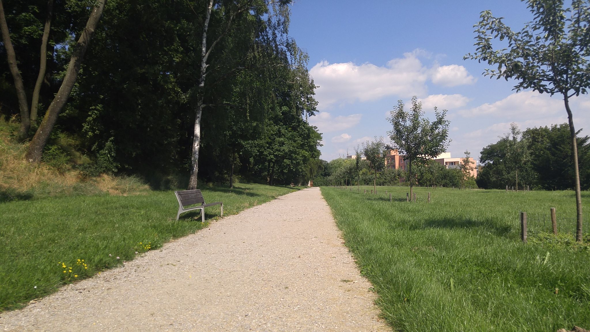 Dnešní pohled – Markétská zahrada