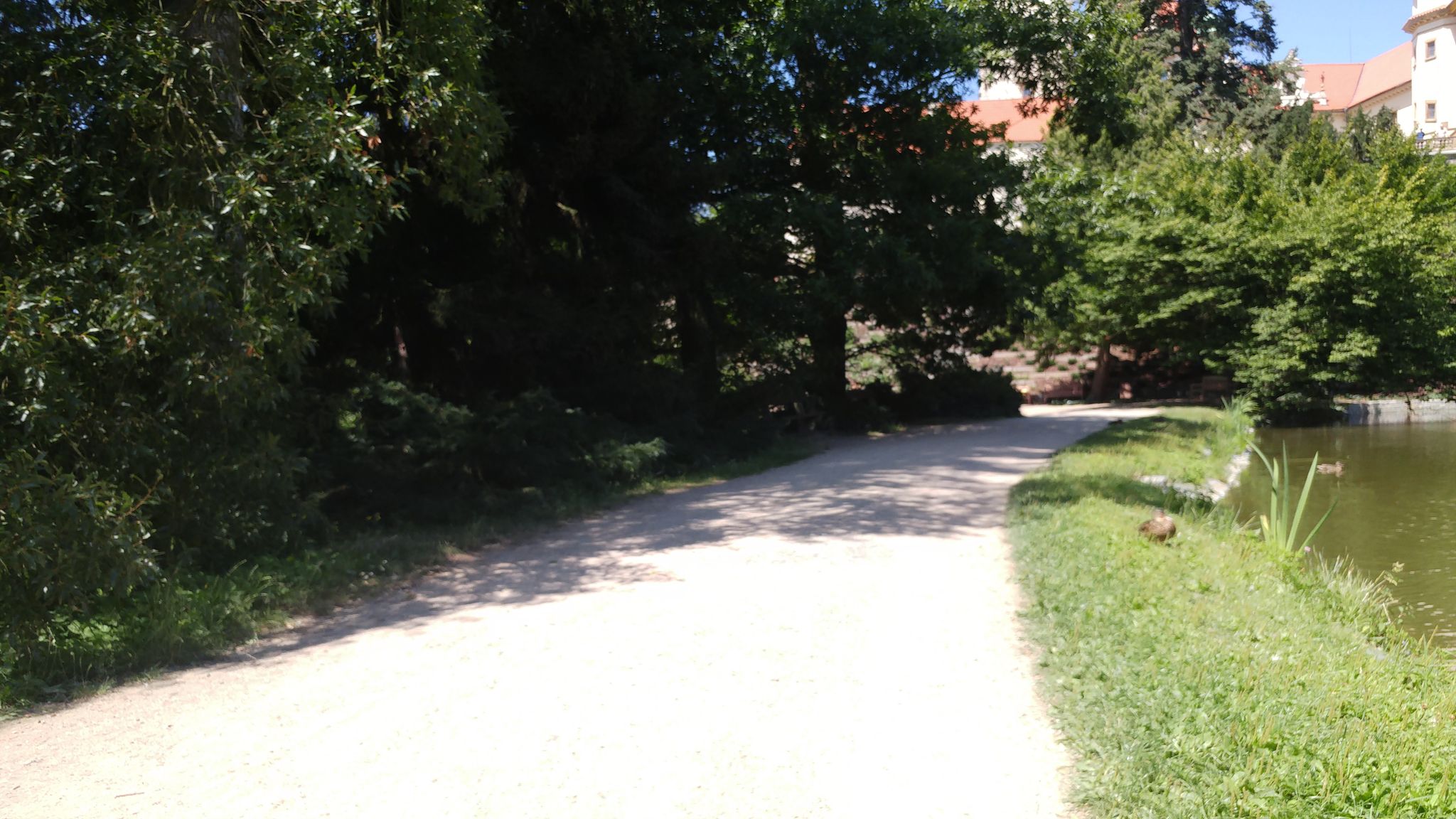 Dnešní pohled – zámecký park Průhonice
