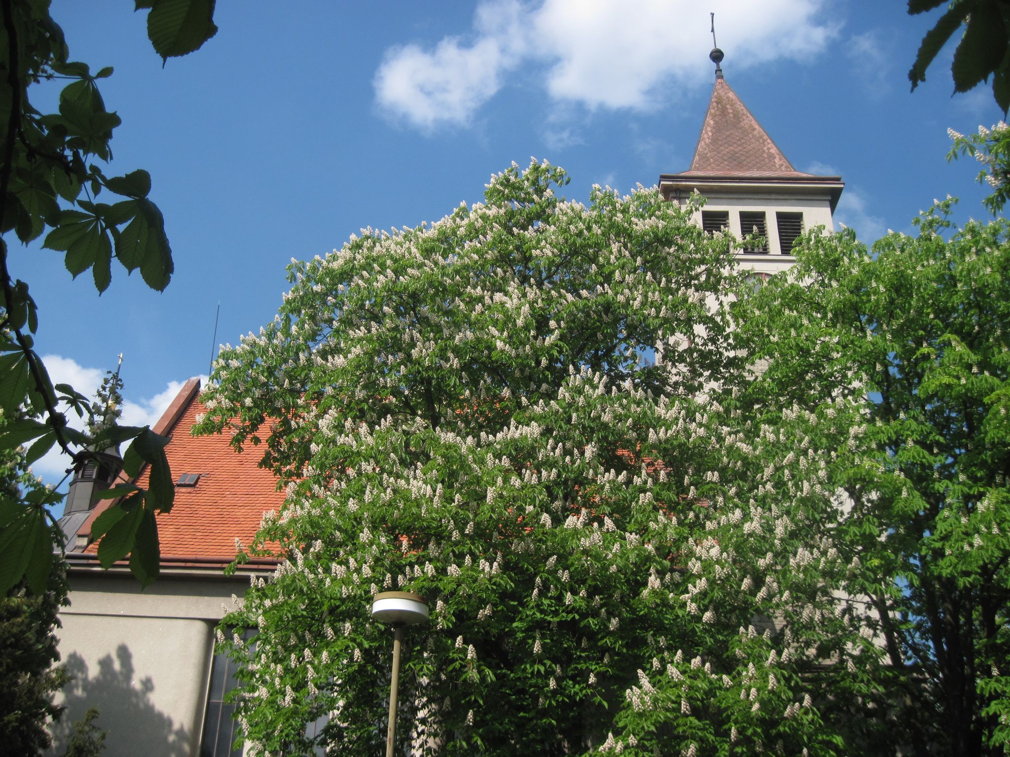 Dnešní pohled – kostel Božského srdce Páně (Blažovice)