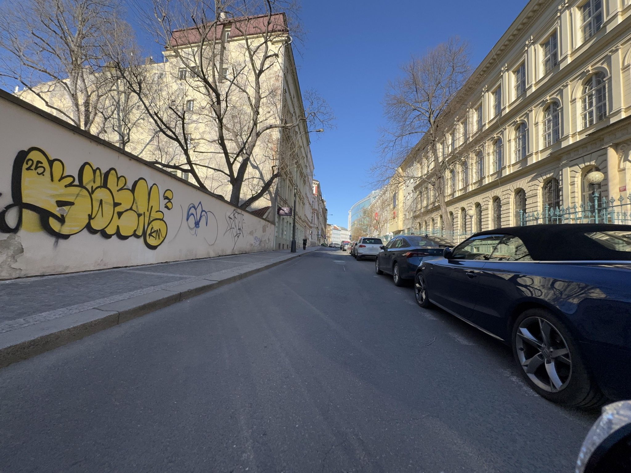 Dnešní pohled – Melounová