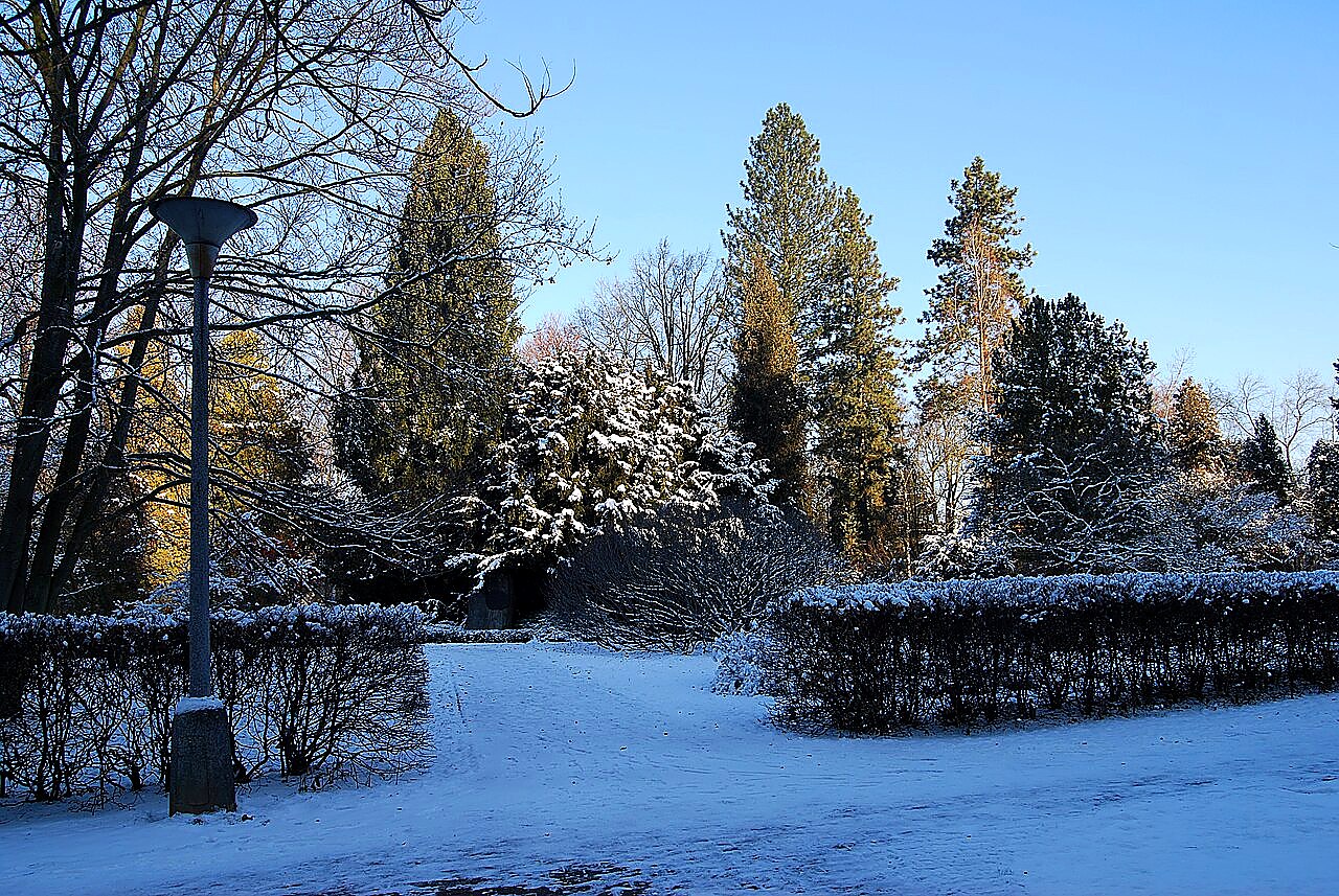 
<span>Arboretum (Václavské Předměstí)</span>
