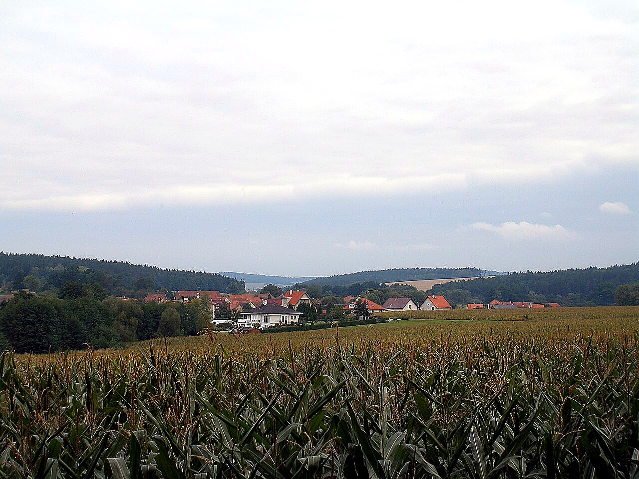 
<span>Biřkov</span>
