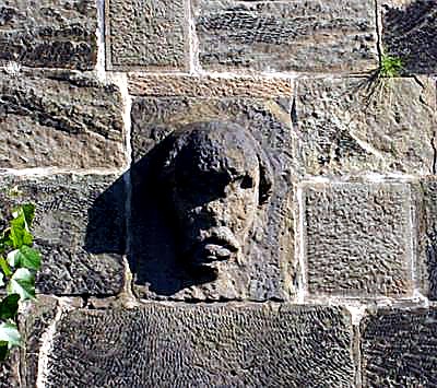 
<span>Bradáč</span>
