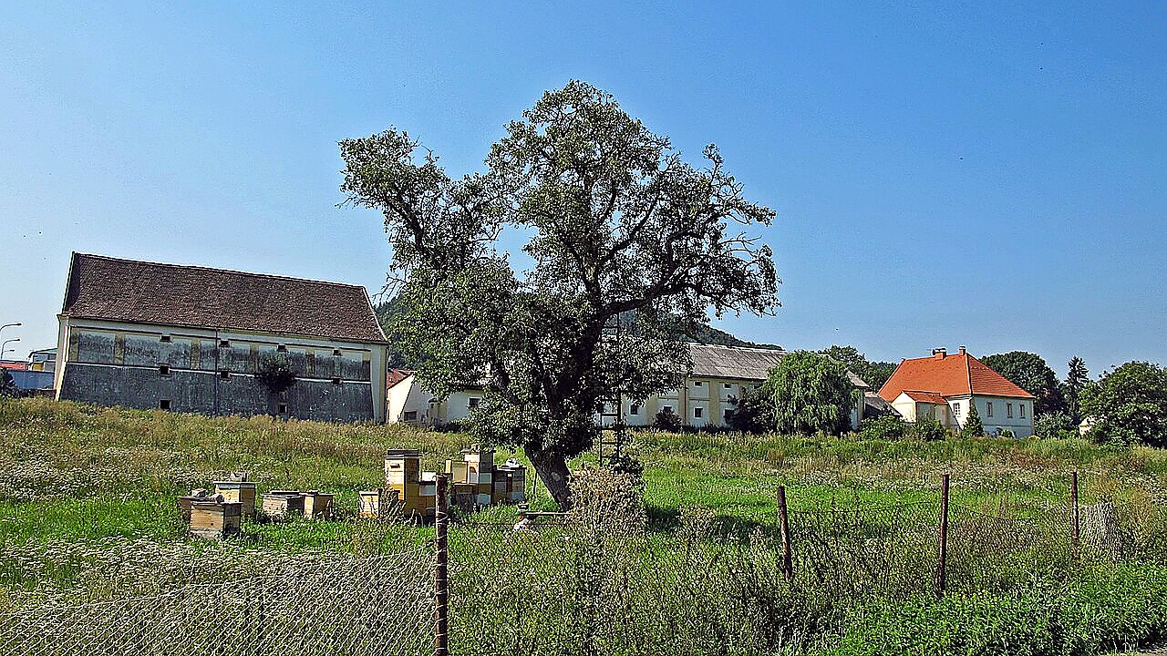 
<span>Bělušice</span>
