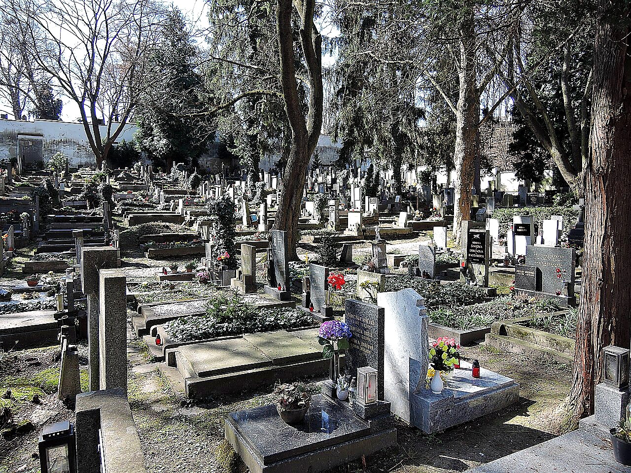 
<span>Břevnovský hřbitov</span>
