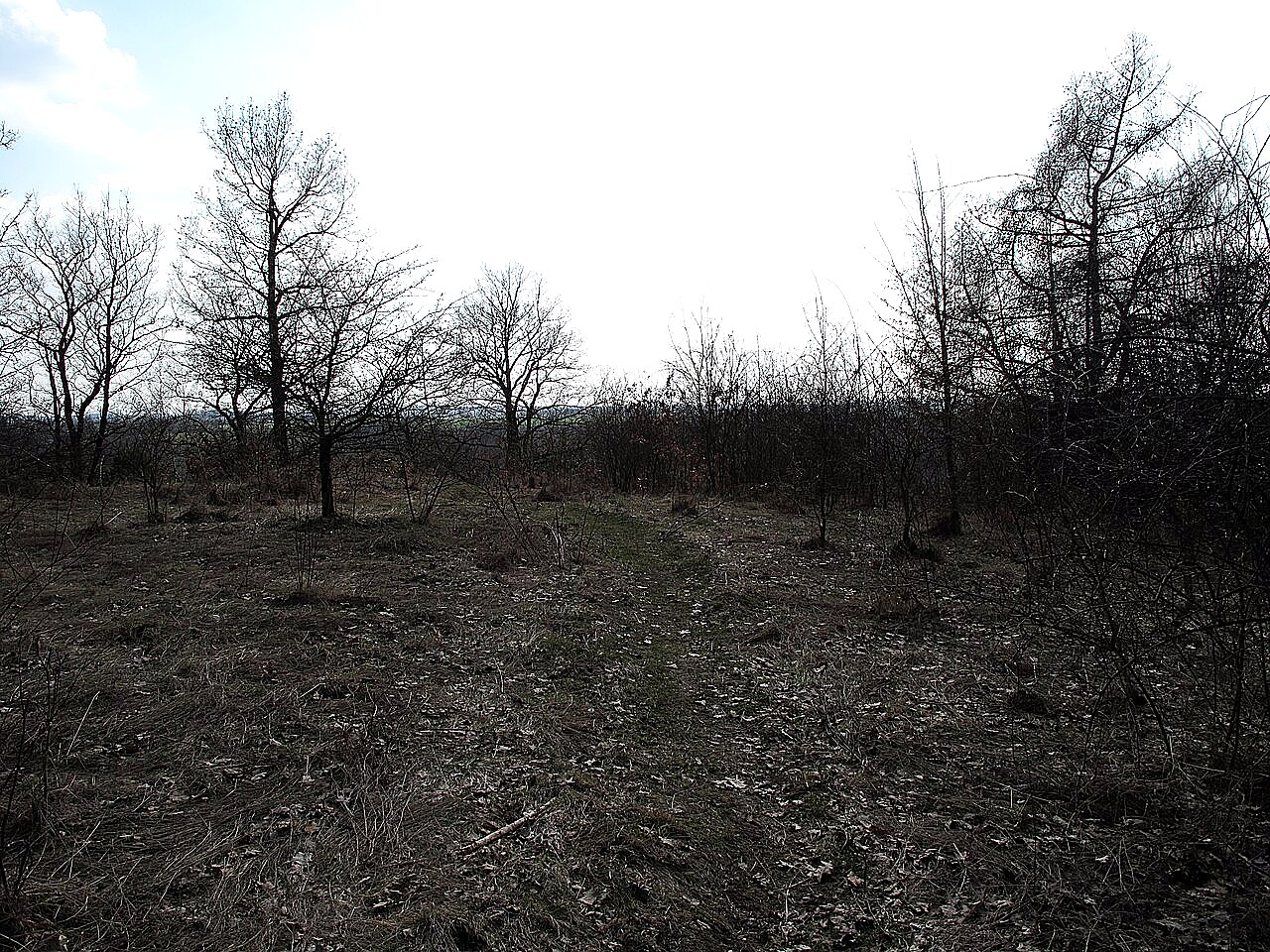 
<span>Dänemark</span>
