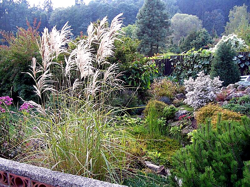 
<span>Arboretum Borotín</span>
