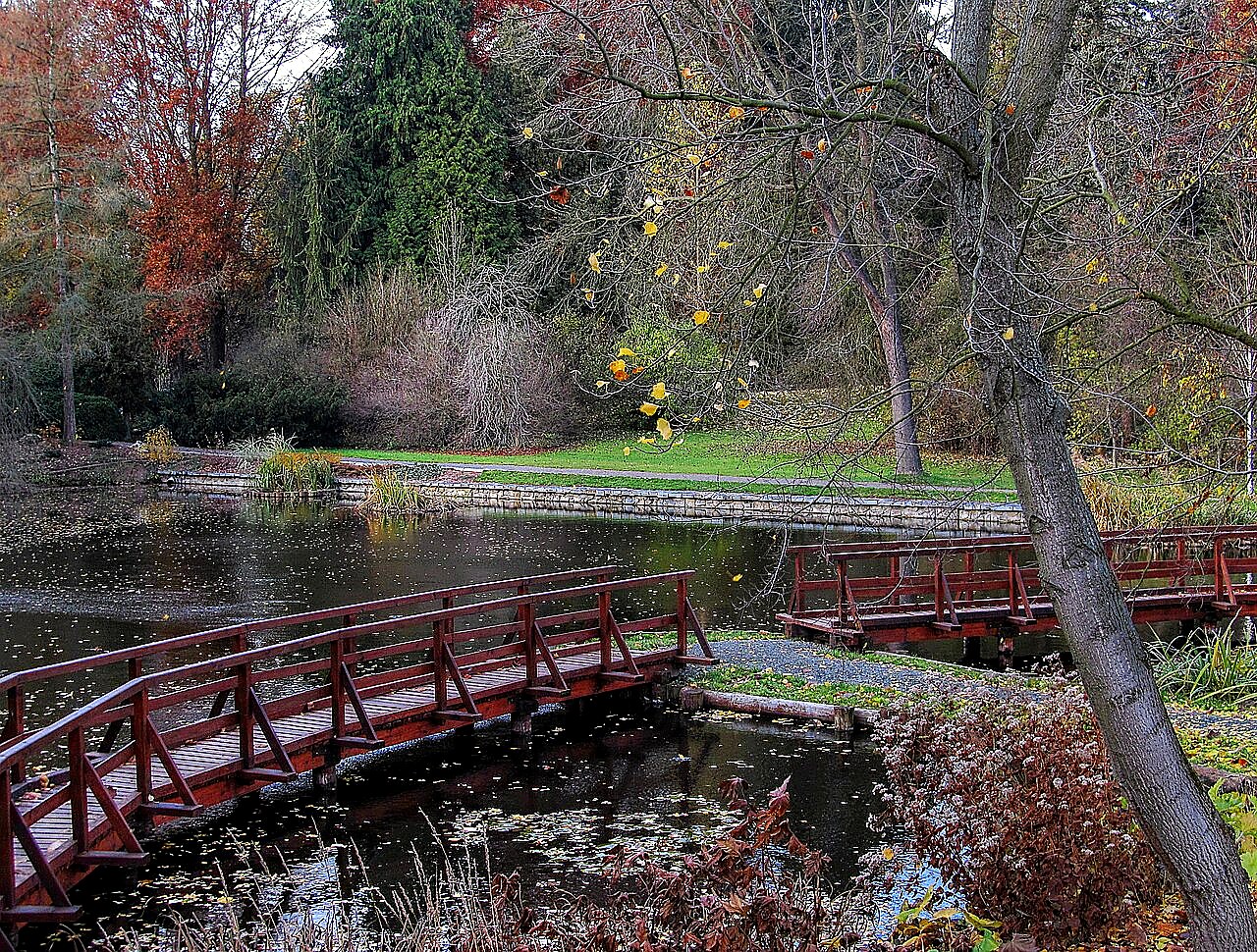 
<span>Arboretum Bílá Lhota</span>
