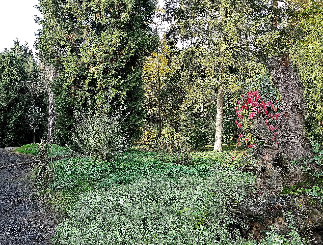 
<span>Arboretum Střední lesnické školy v Hranicích</span>
