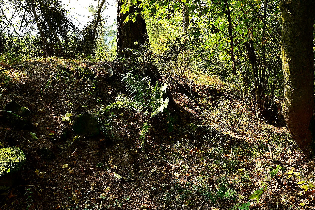 
<span>Funkenštejn</span>
