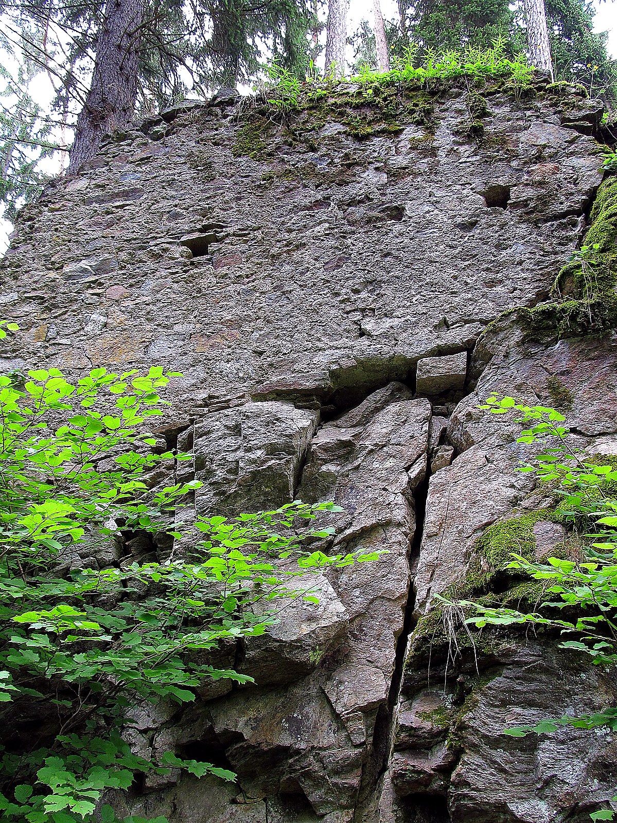 
<span>Hus</span>
