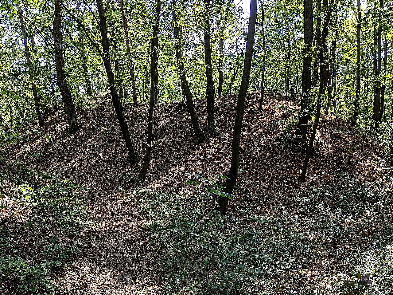 
<span>Jevín</span>
