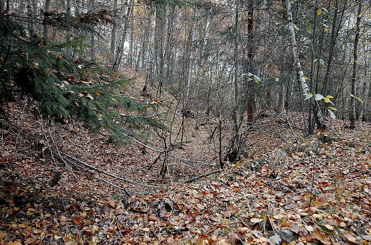 
<span>Kager</span>
