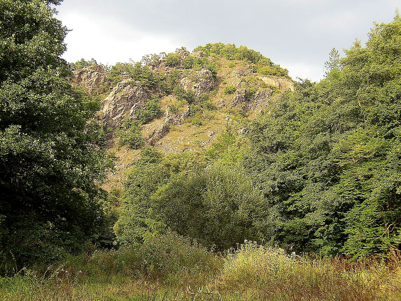 
<span>Levnov</span>
