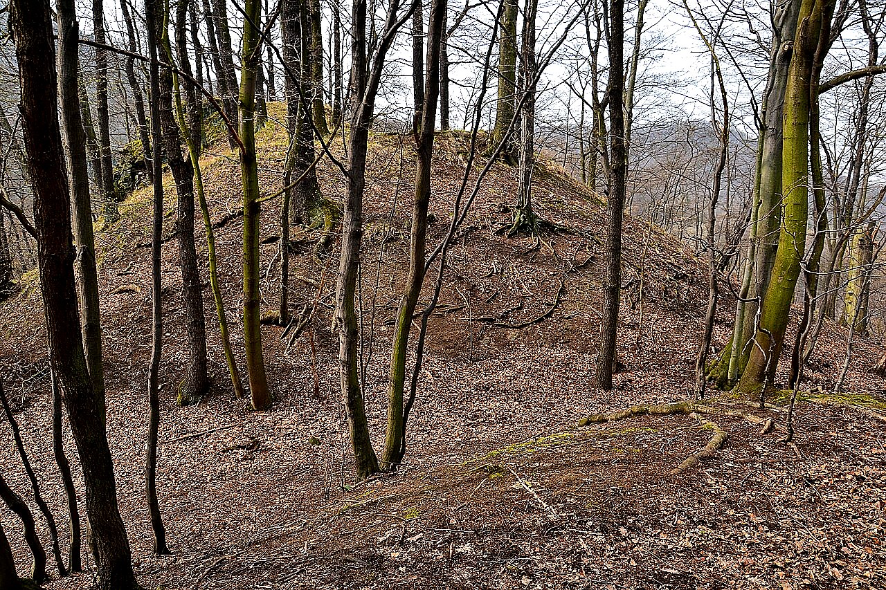 
<span>Leština</span>

