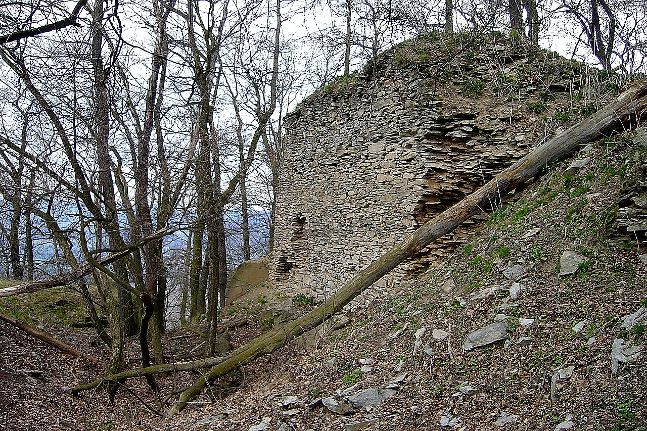 
<span>Litýš</span>
