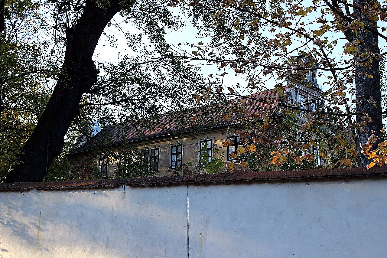 
<span>Luka</span>
