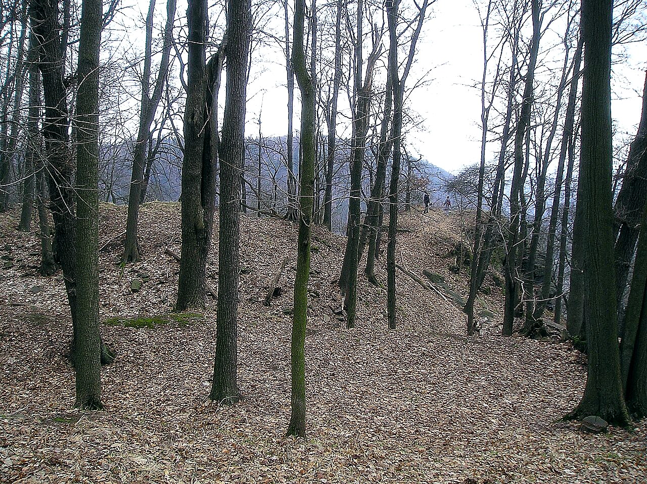 
<span>Najštejn</span>
