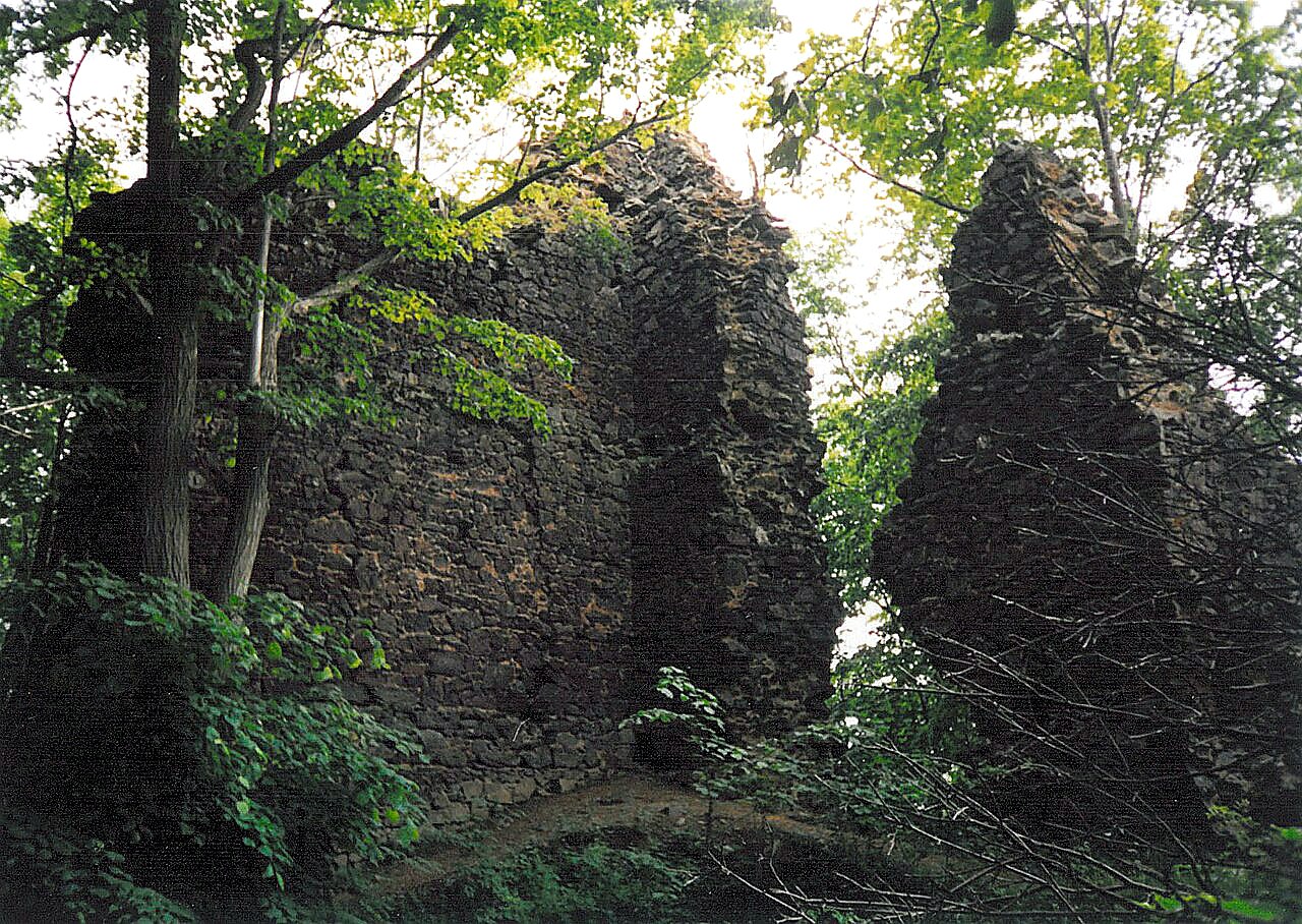 
<span>Netřeb</span>
