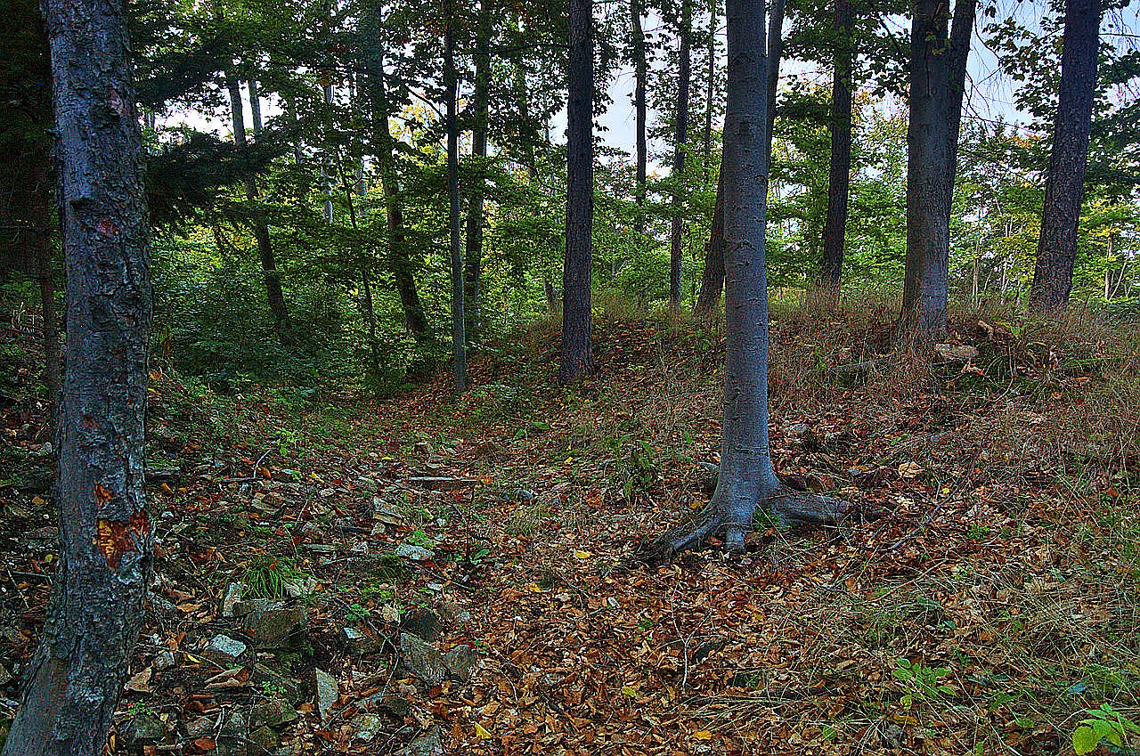 
<span>Plankenberk</span>
