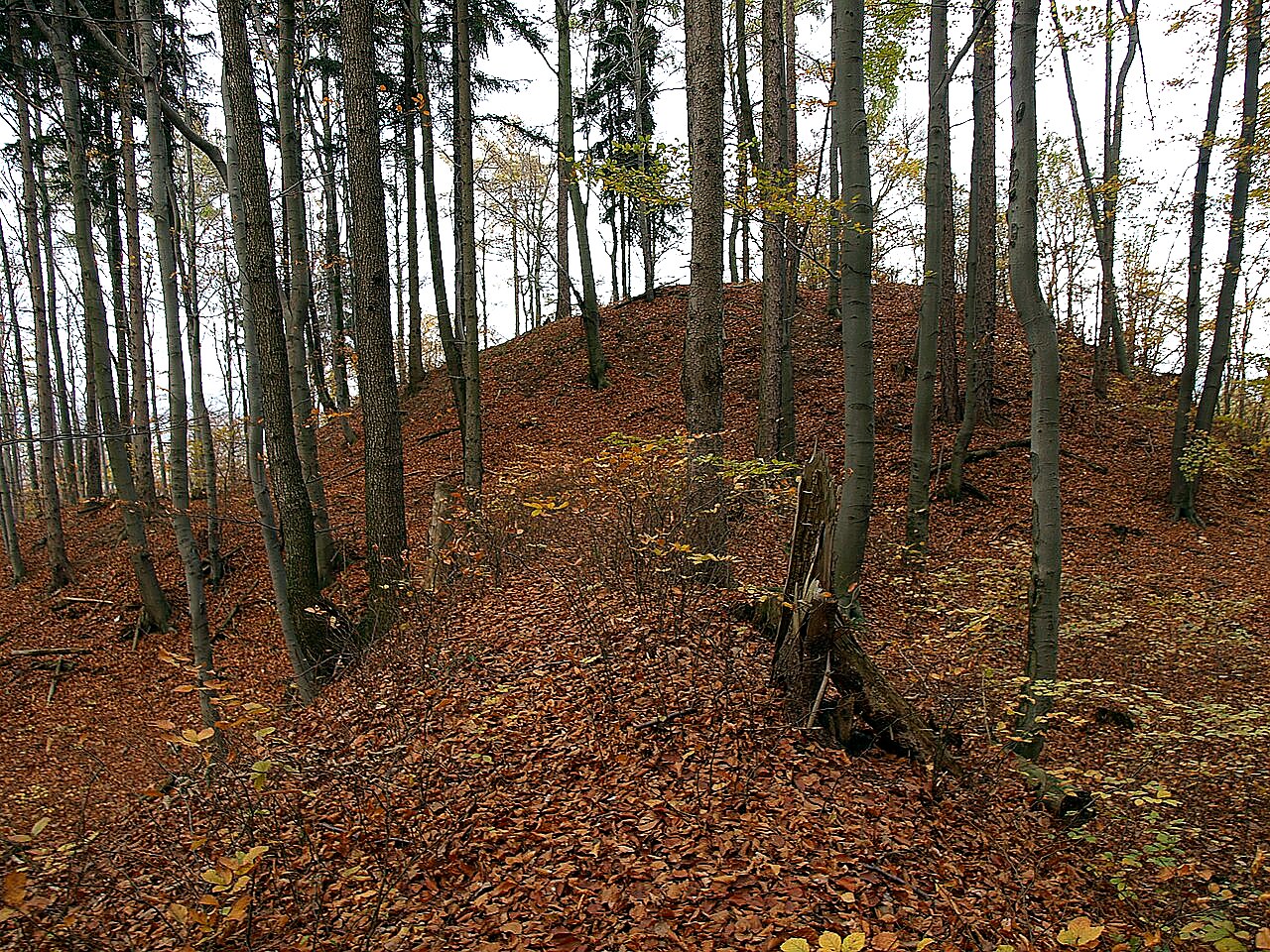 
<span>Pustý zámek</span>
