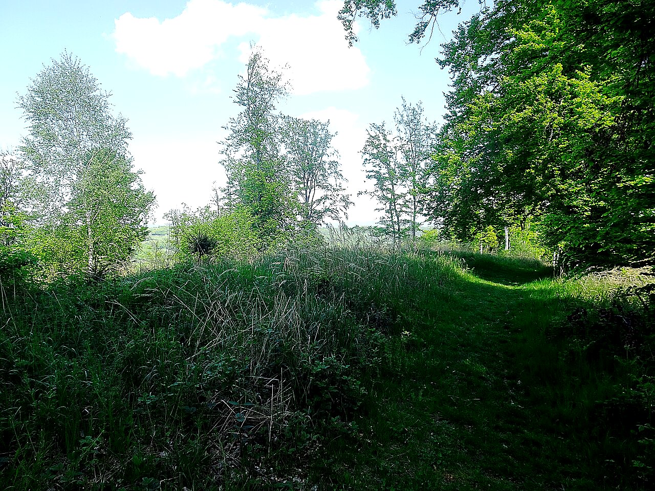 
<span>Rýsov (Provodov)</span>
