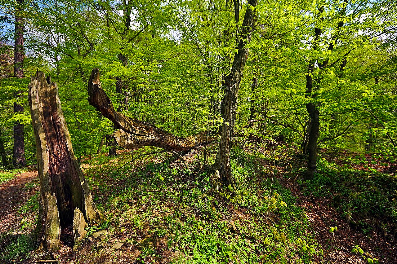 
<span>Svrčov</span>
