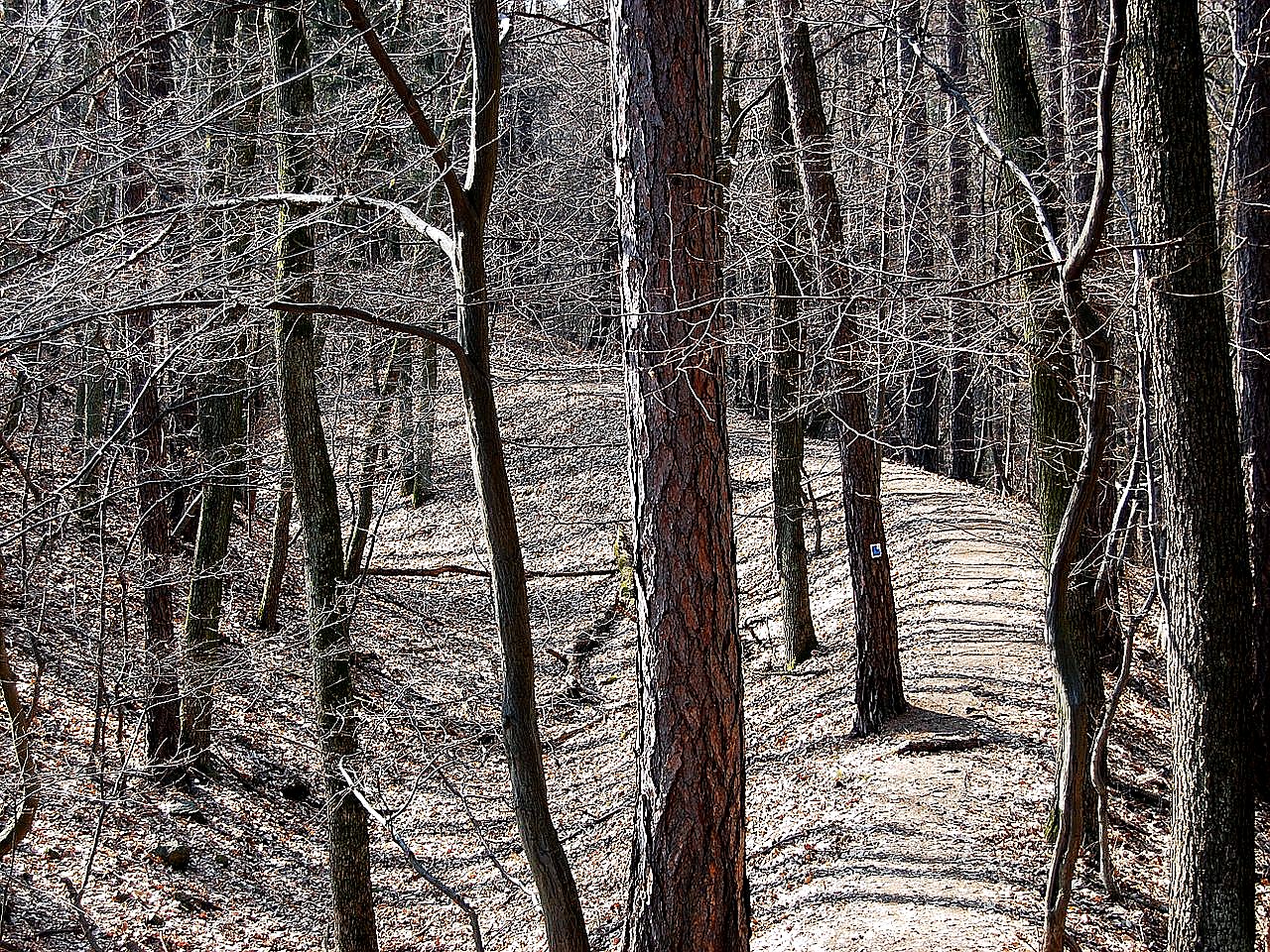 
<span>Vildenberk</span>

