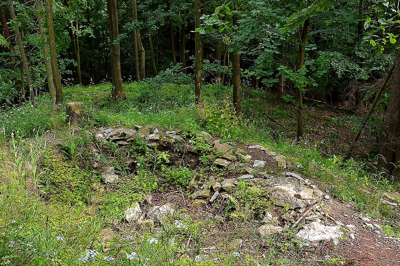 
<span>Vlčinec</span>
