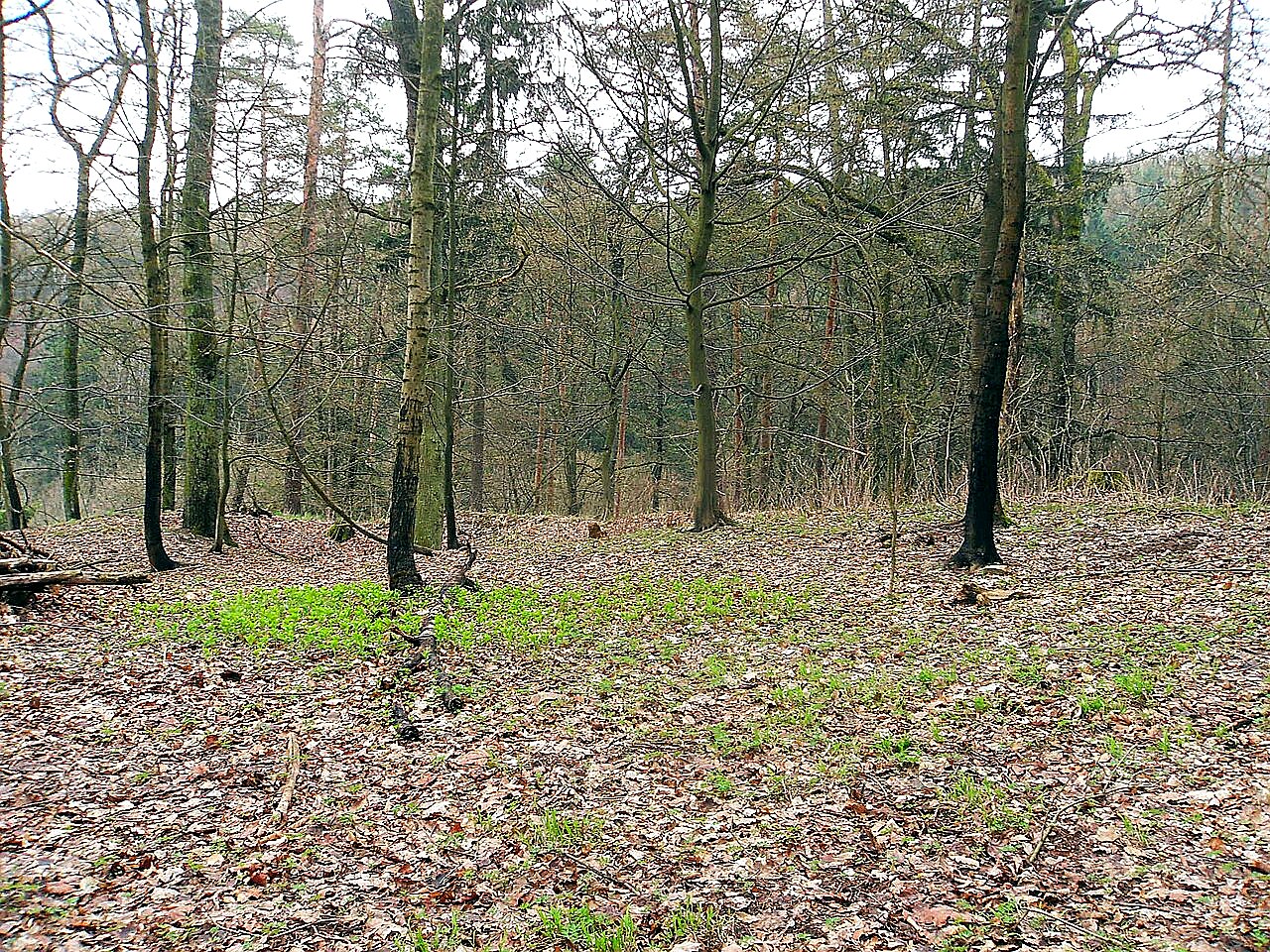 
<span>Zbraslav</span>

