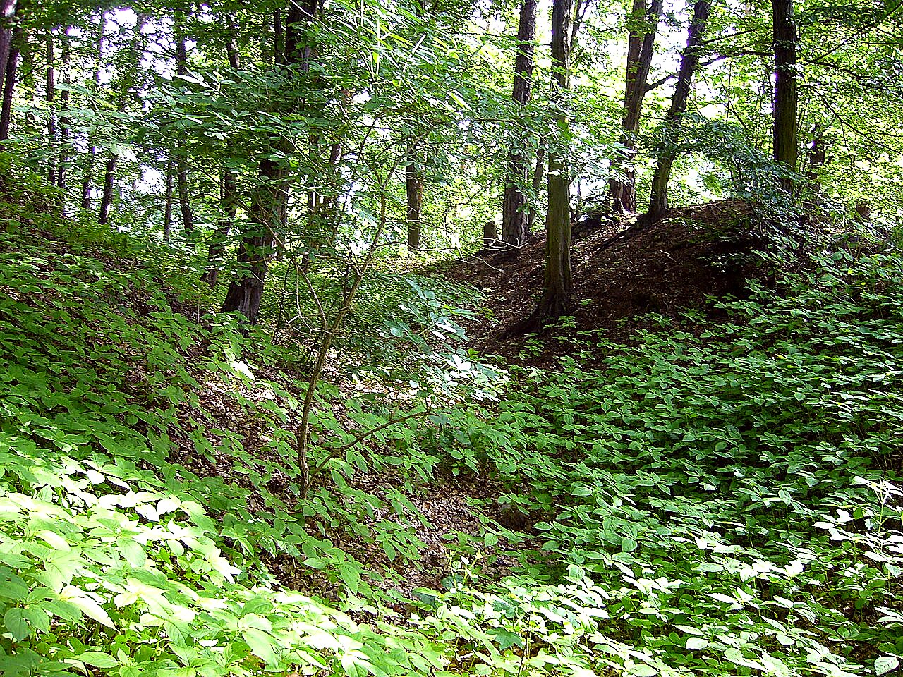 
<span>Čepička</span>
