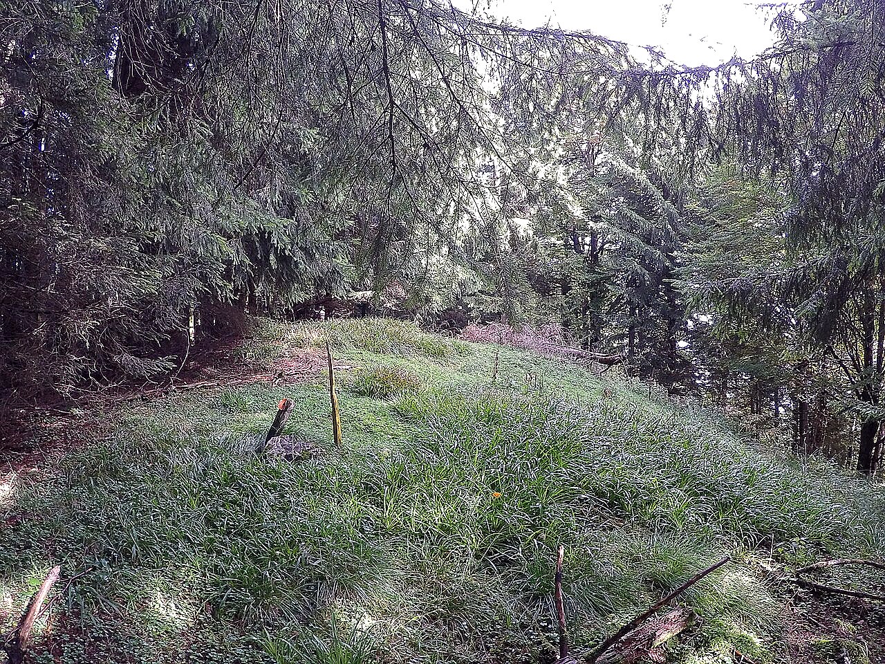 
<span>Šternek</span>
