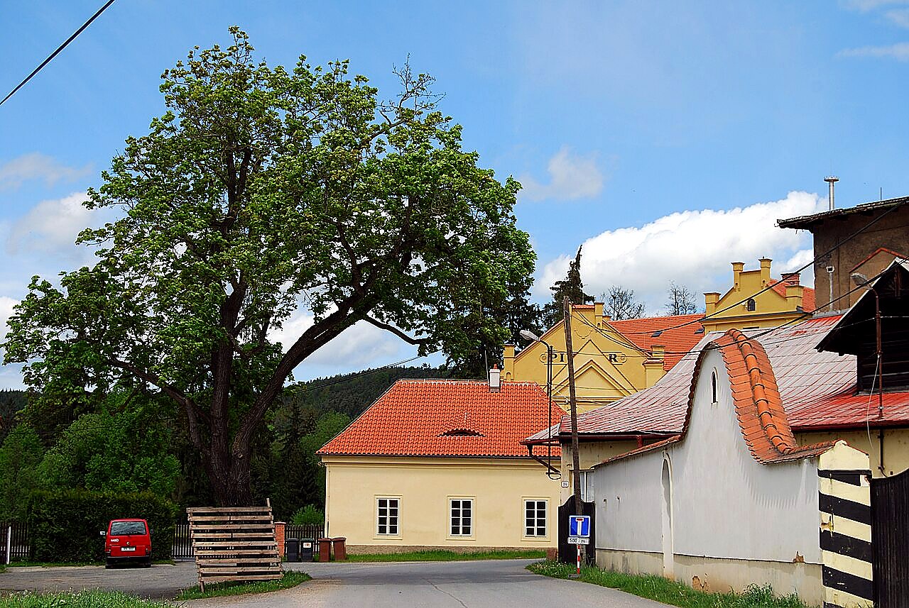 
<span>Klášterní mlýn v Plasích</span>
