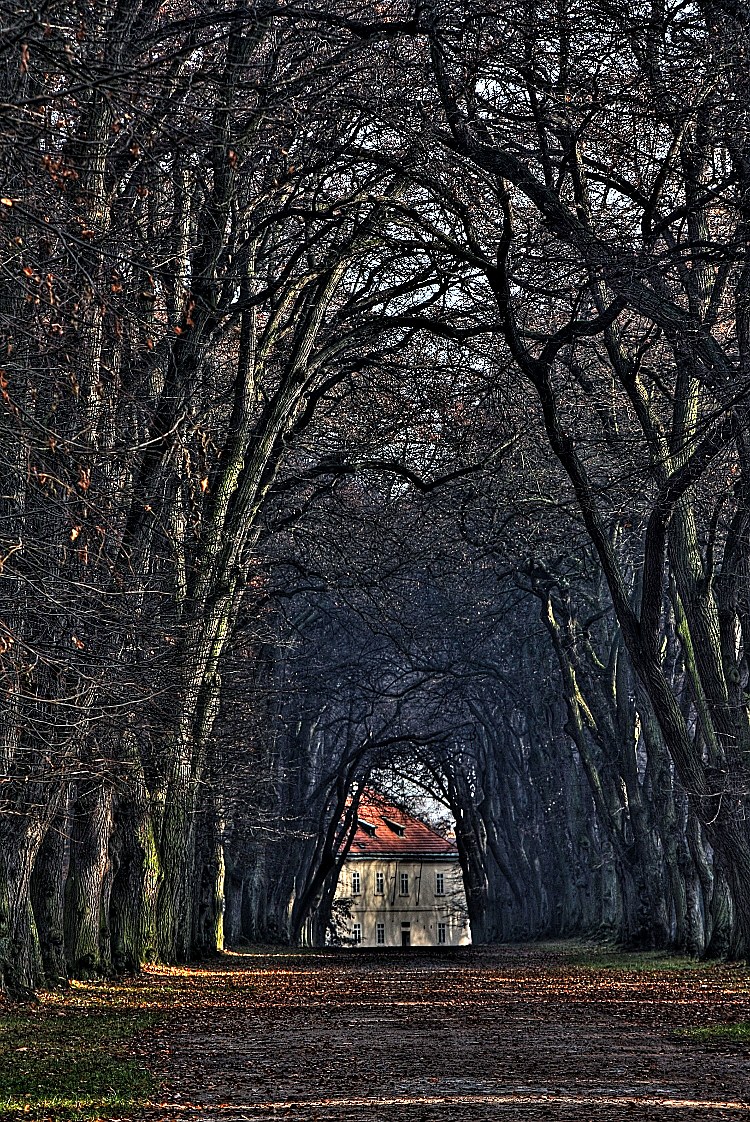 
<span>Obora Hvězda</span>
