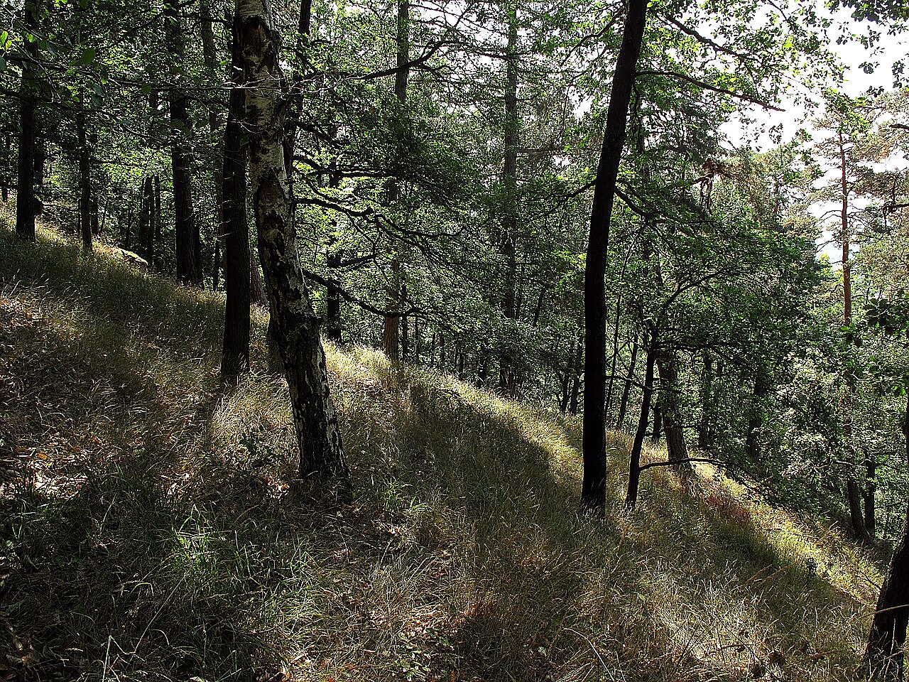 
<span>Okrouhlé Hradiště</span>
