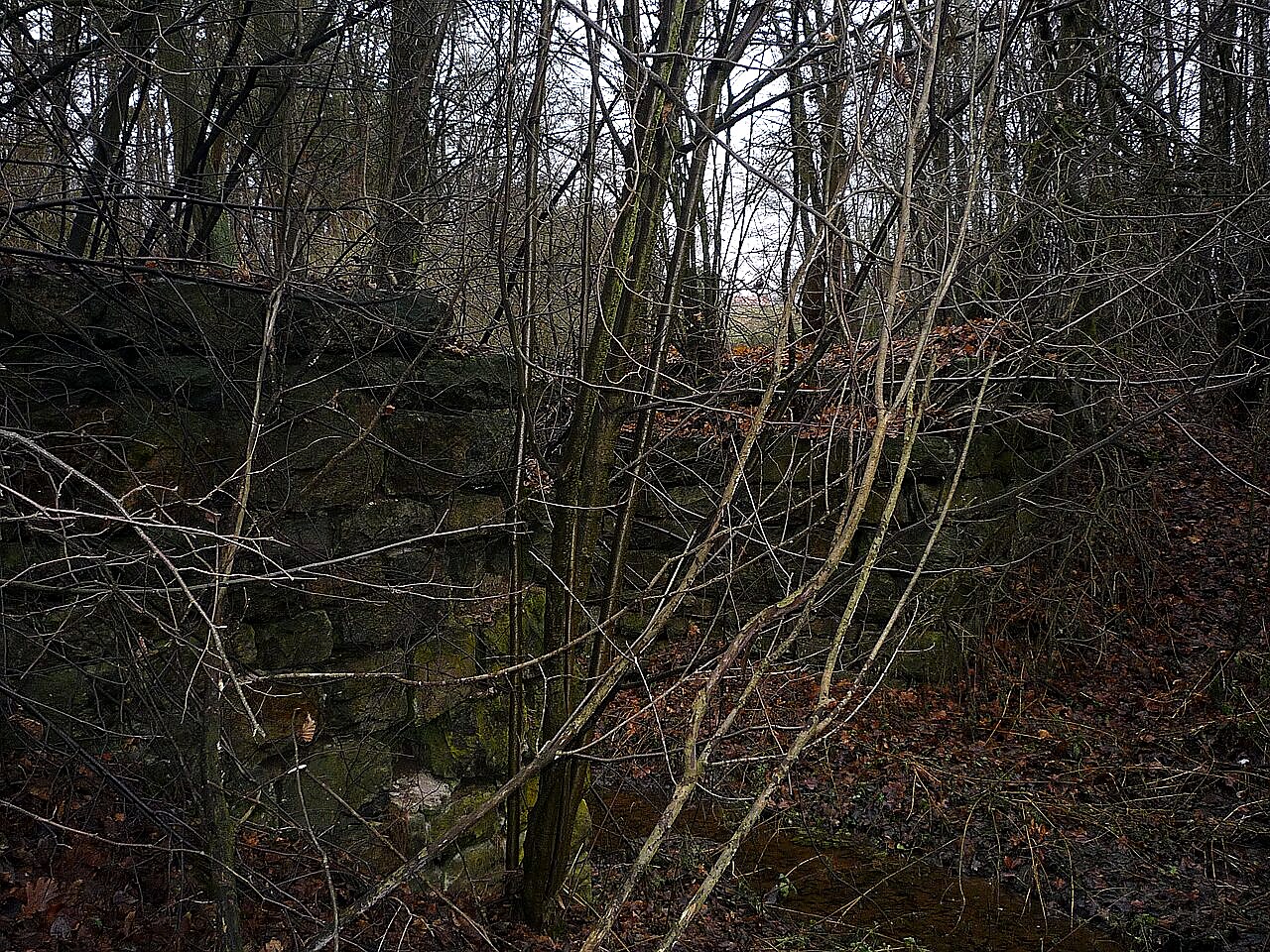 
<span>Nové Dvorce</span>
