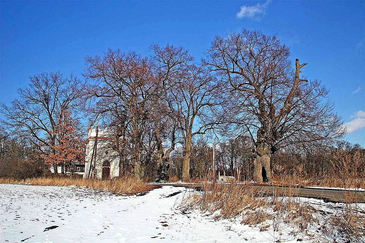 
<span>Kaple Narození Panny Marie (Zásmuky)</span>
