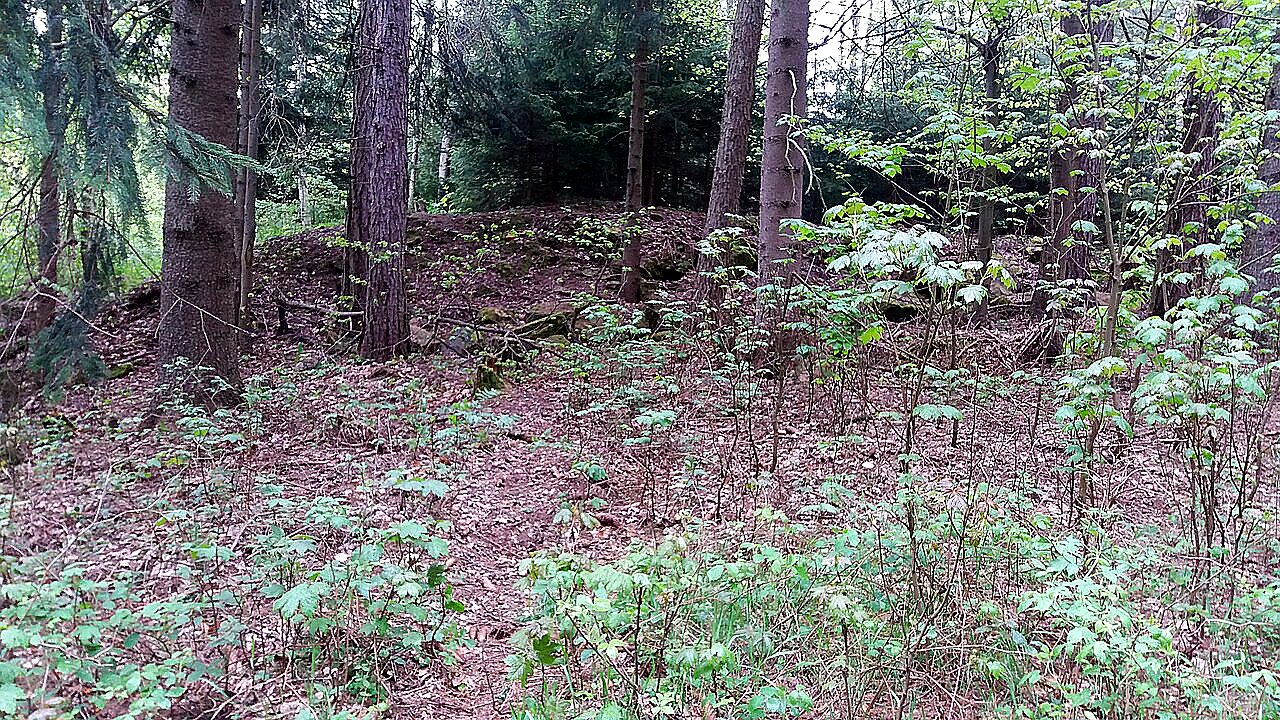 
<span>Kostel svatého Jana Křtitele (Janovičky)</span>
