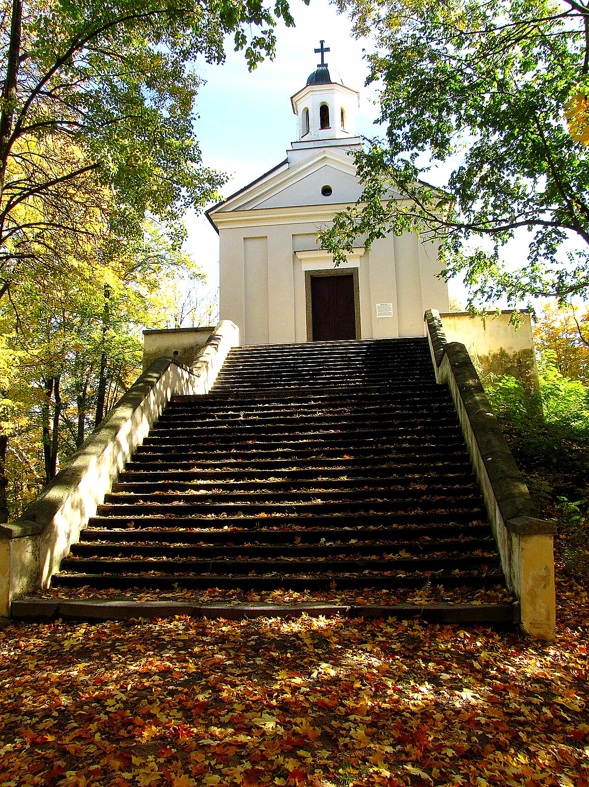 
<span>kostel Nanebevzetí Panny Marie (Mladá Vožice)</span>
