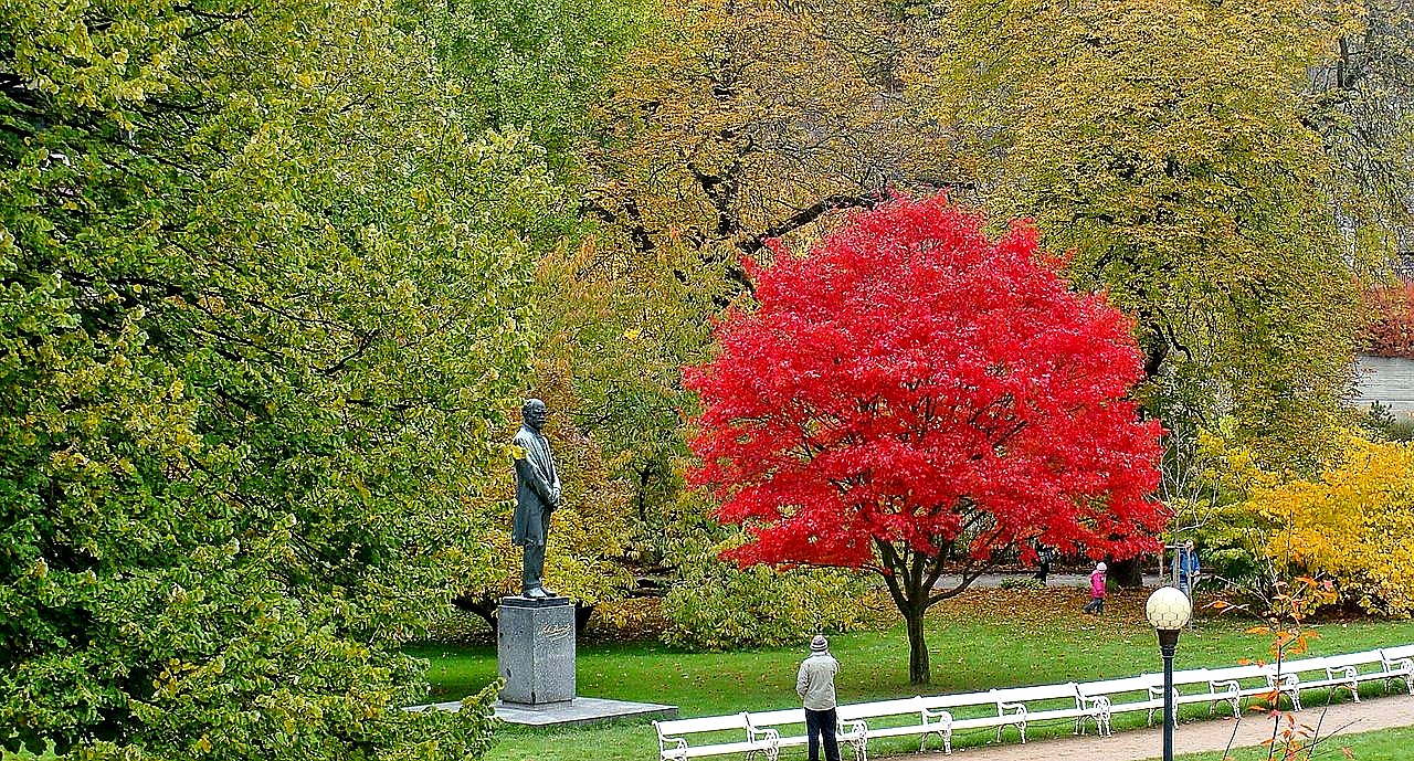 
<span>Dvořákovy sady (Karlovy Vary)</span>

