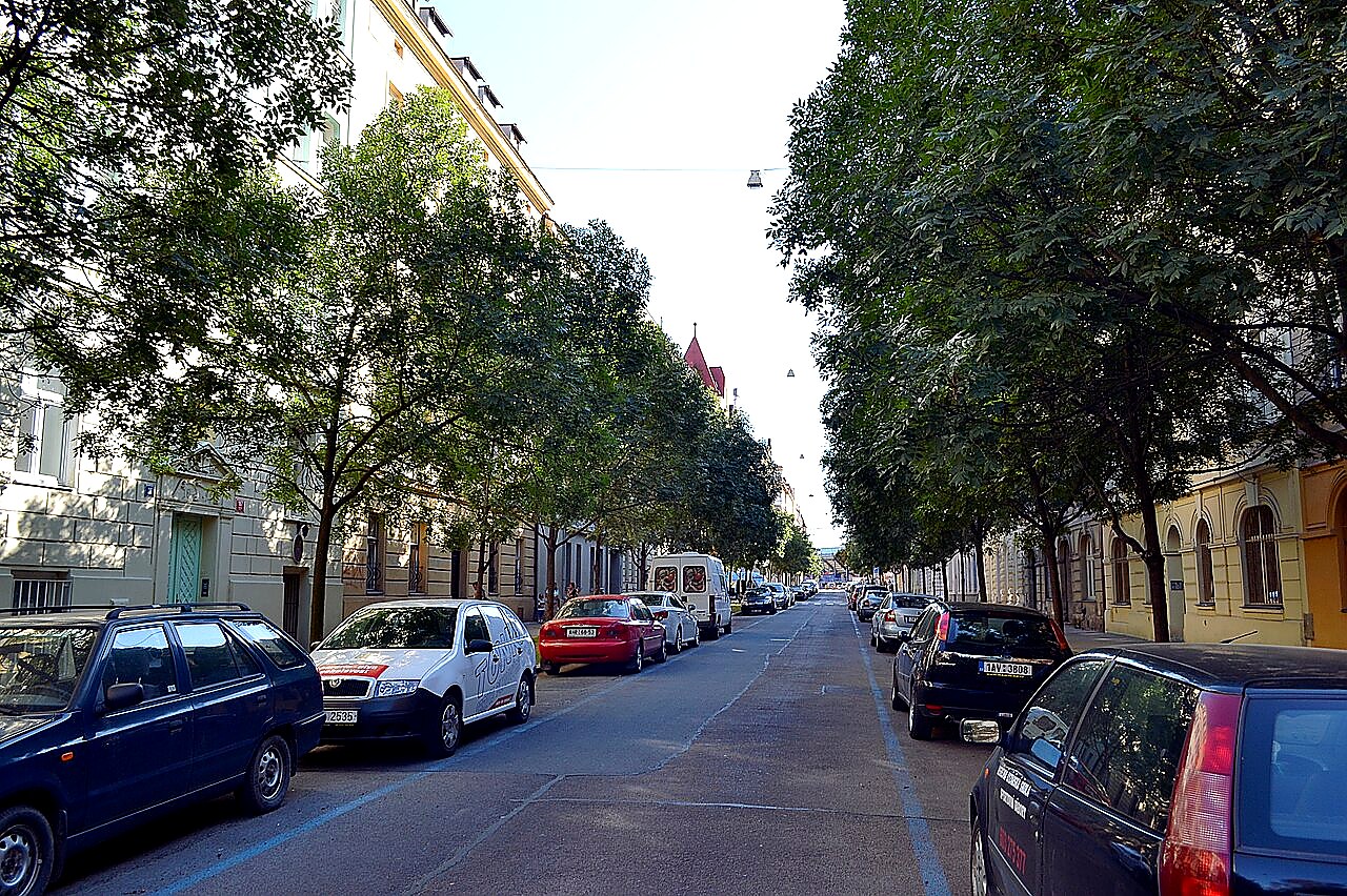 
<span>Jana Zajíce</span>

