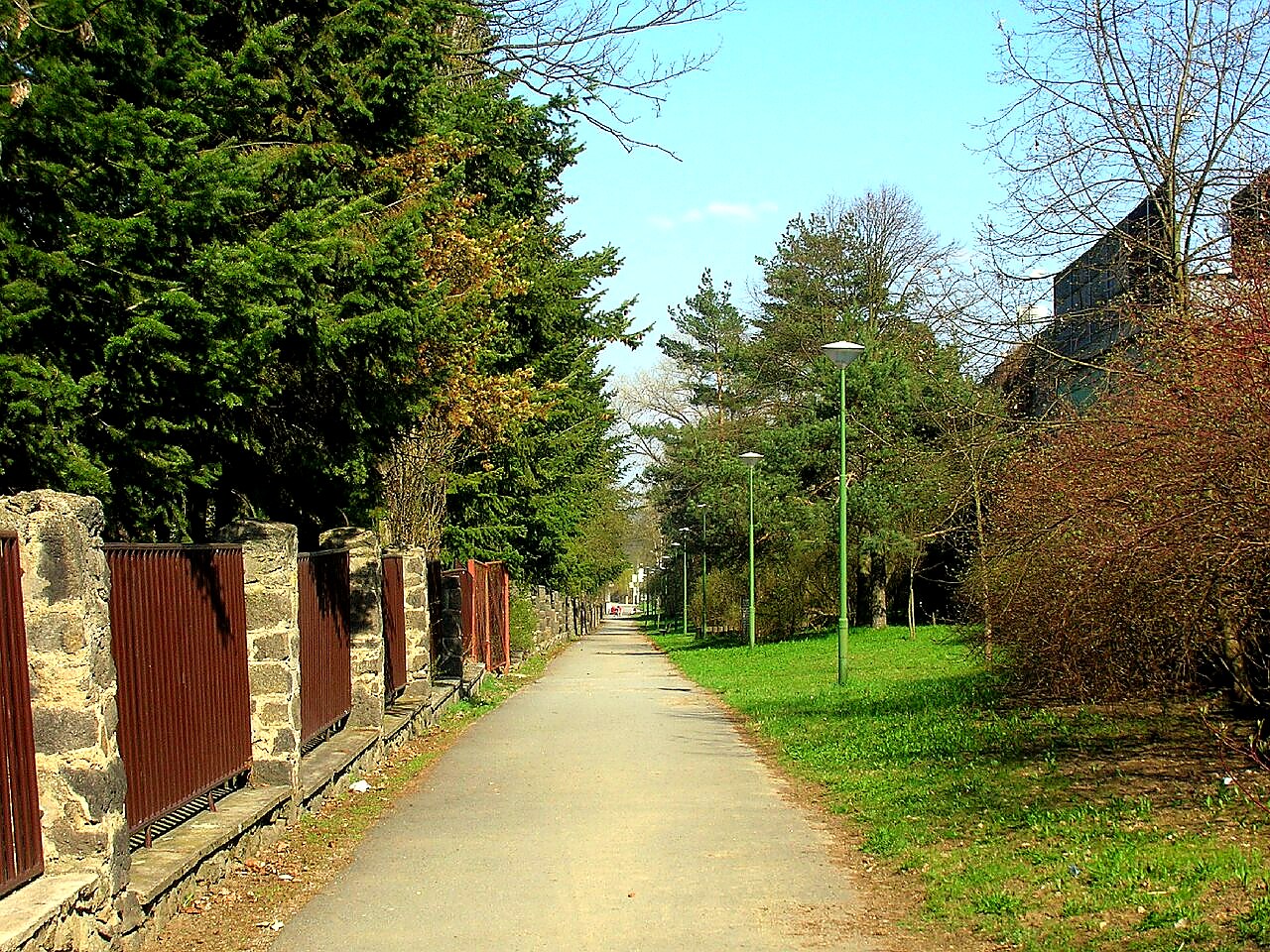 
<span>Janáčkovo stromořadí</span>
