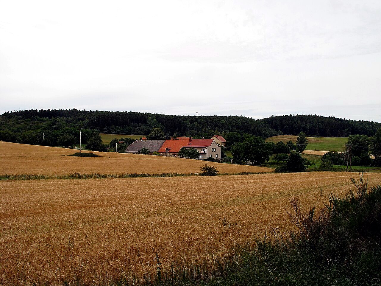 
<span>Osojno</span>
