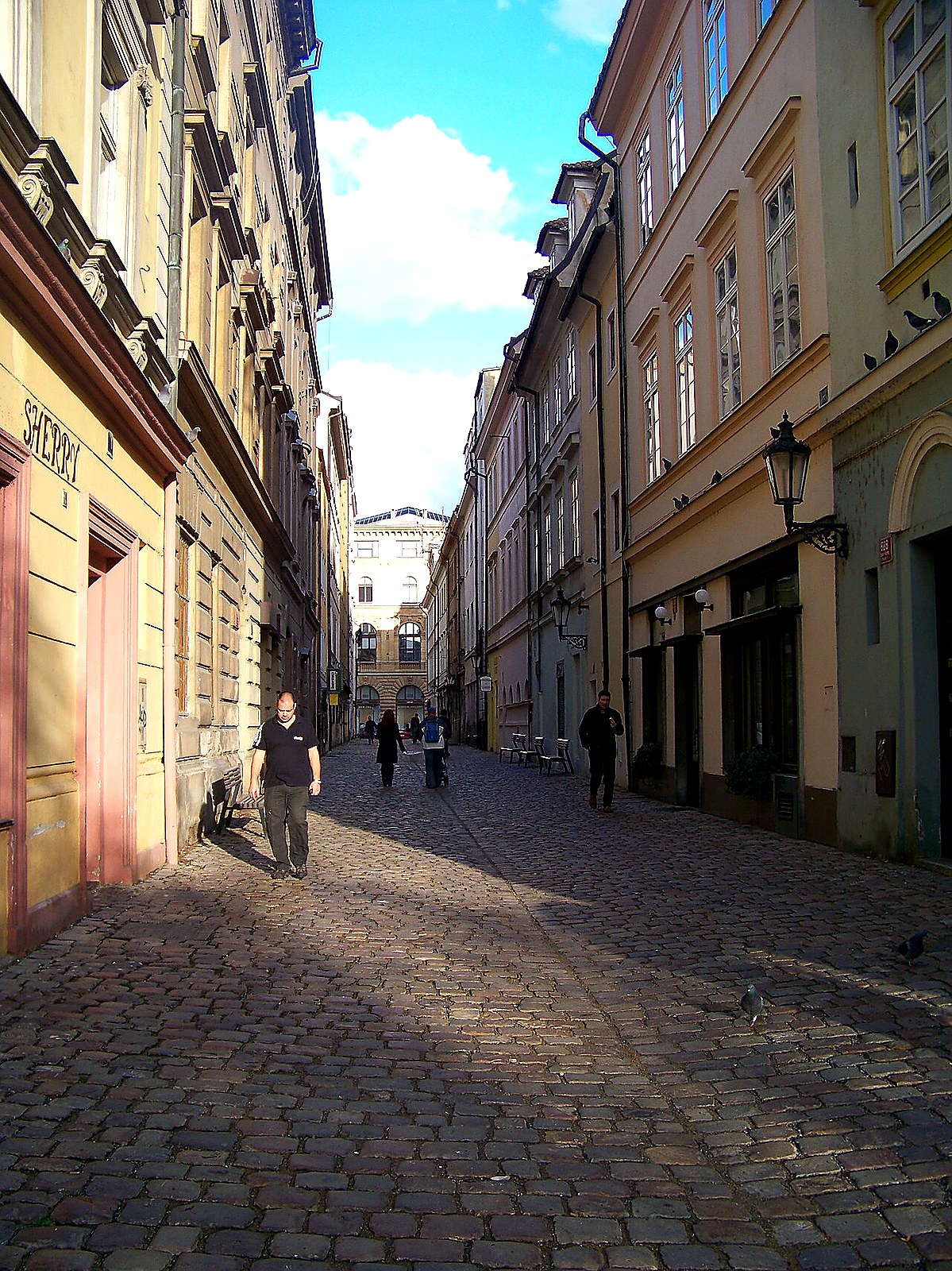 
<span>V kotcích</span>
