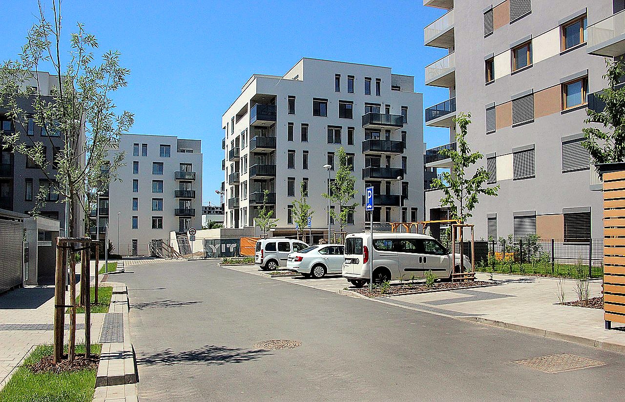 
<span>Waltariho</span>
