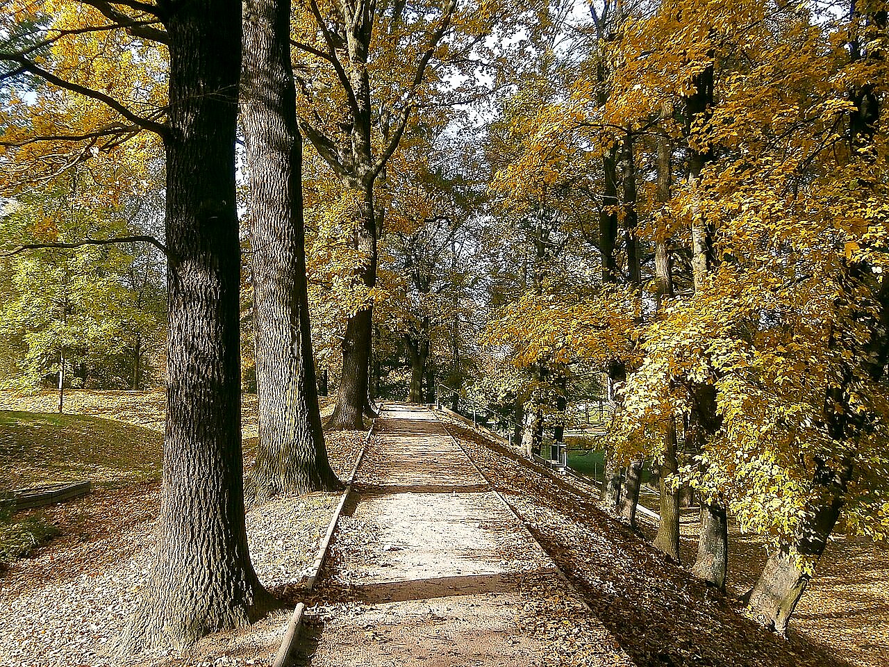 
<span>Šimkovy sady</span>
