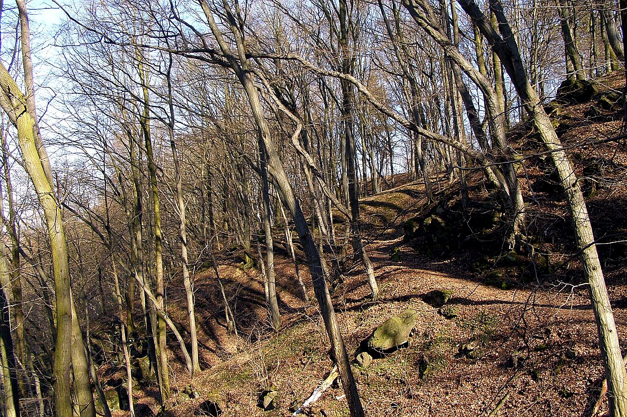 
<span>Krajíčkova stráň</span>
