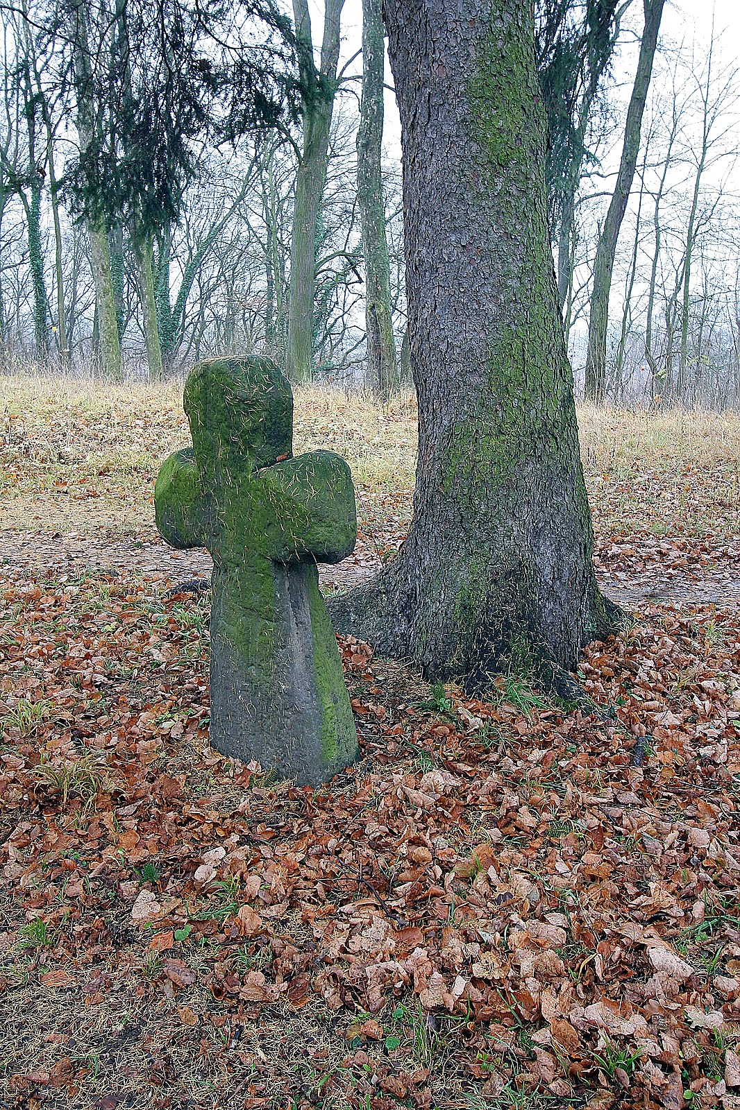 
<span>Masarykovy sady (Josefov)</span>
