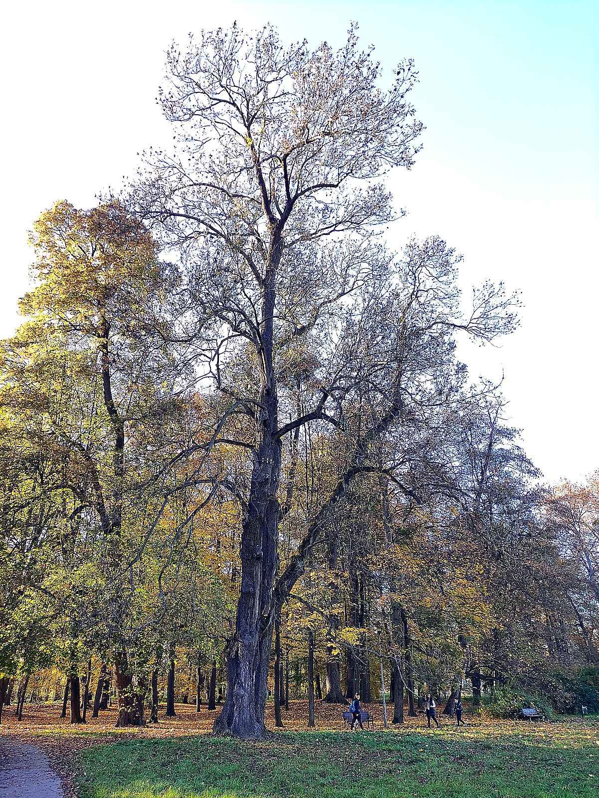
<span>Park Boženy Němcové</span>
