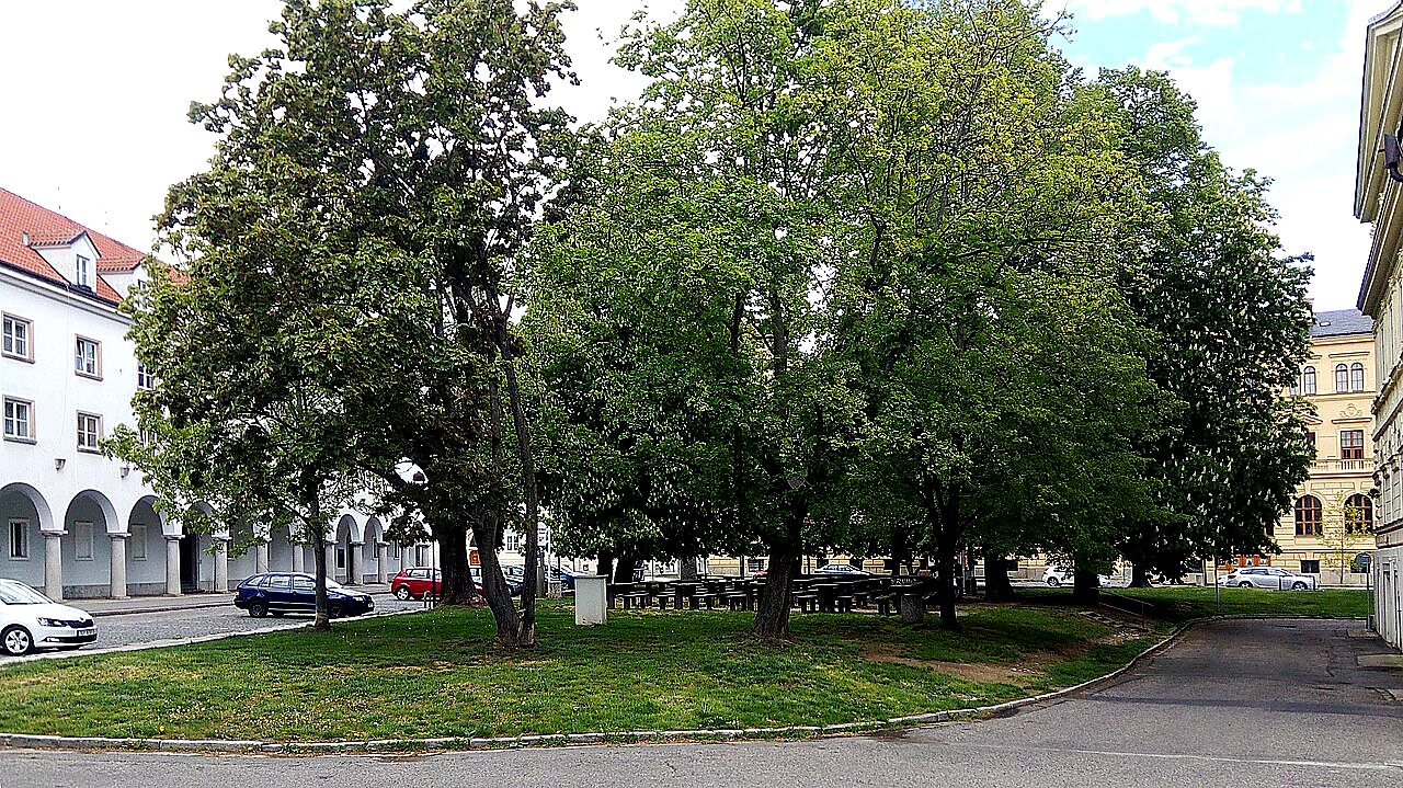 
<span>Park Dukelská</span>
